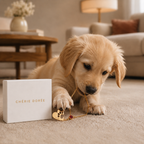 The Paw Birthstone Necklace